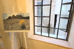 fesav-edizione-2019-027