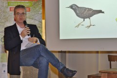 fesav-edizione-2019-032