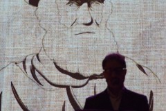 fesav-edizione-2021-023