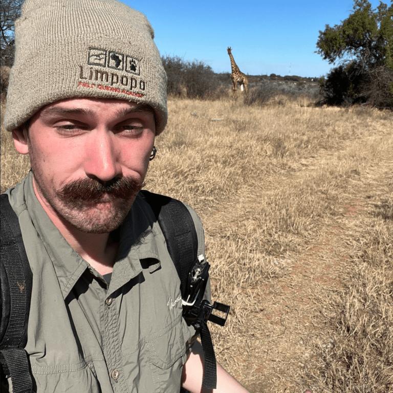 Mattia Croce – Cruz in the Bush
