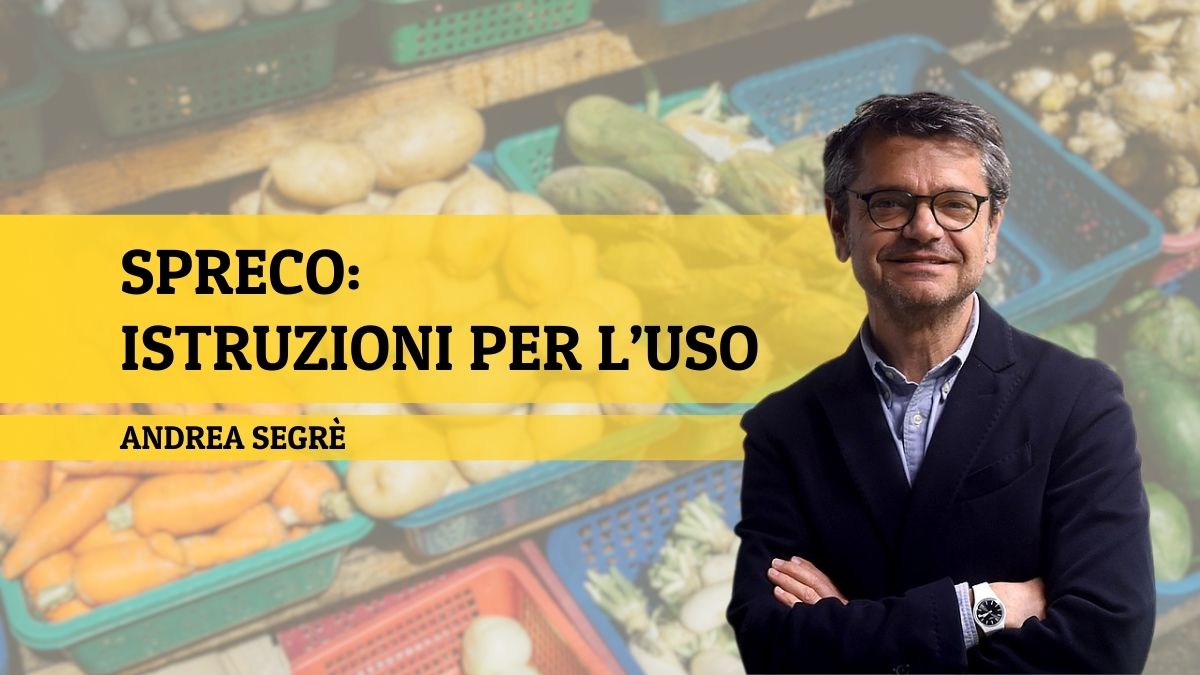 Andrea Segrè