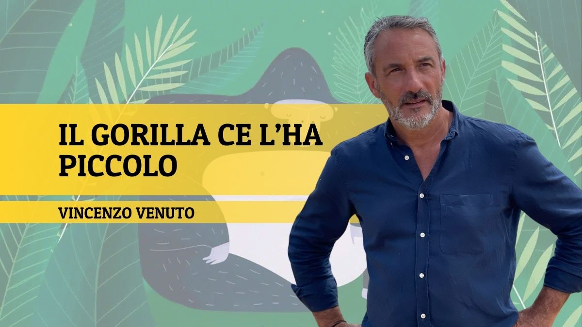 Vincenzo Venuto
