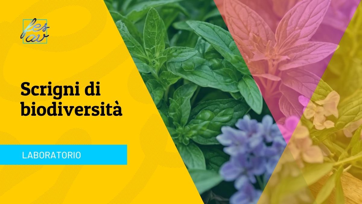SCRIGNI DI BIODIVERSITÀ