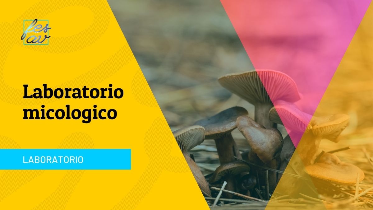 LABORATORIO MICOLOGICO