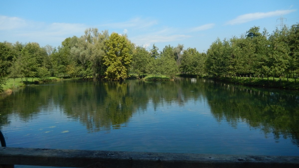 Risorgive del Bacchiglione