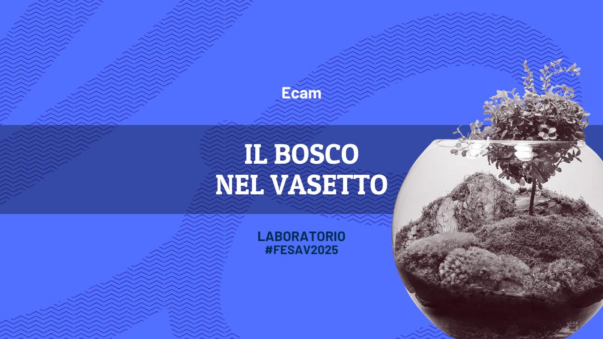 Il bosco nel vasetto