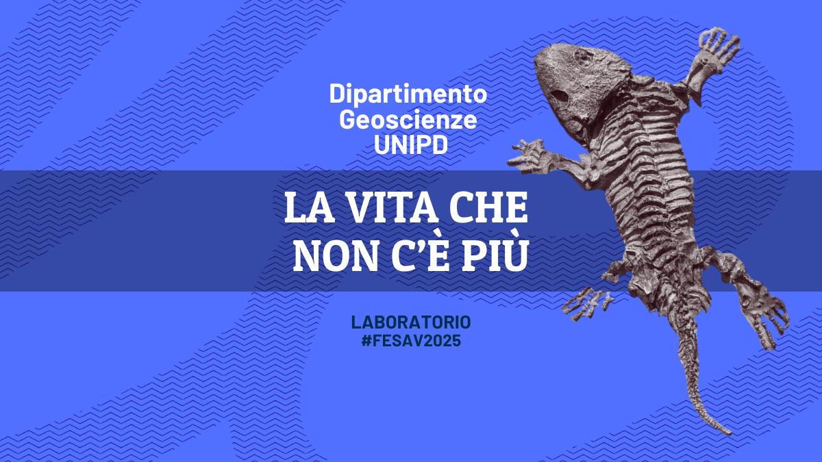 La vita che non c’è più