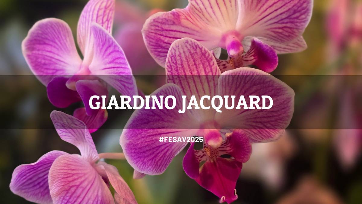 Giardino Jacquard