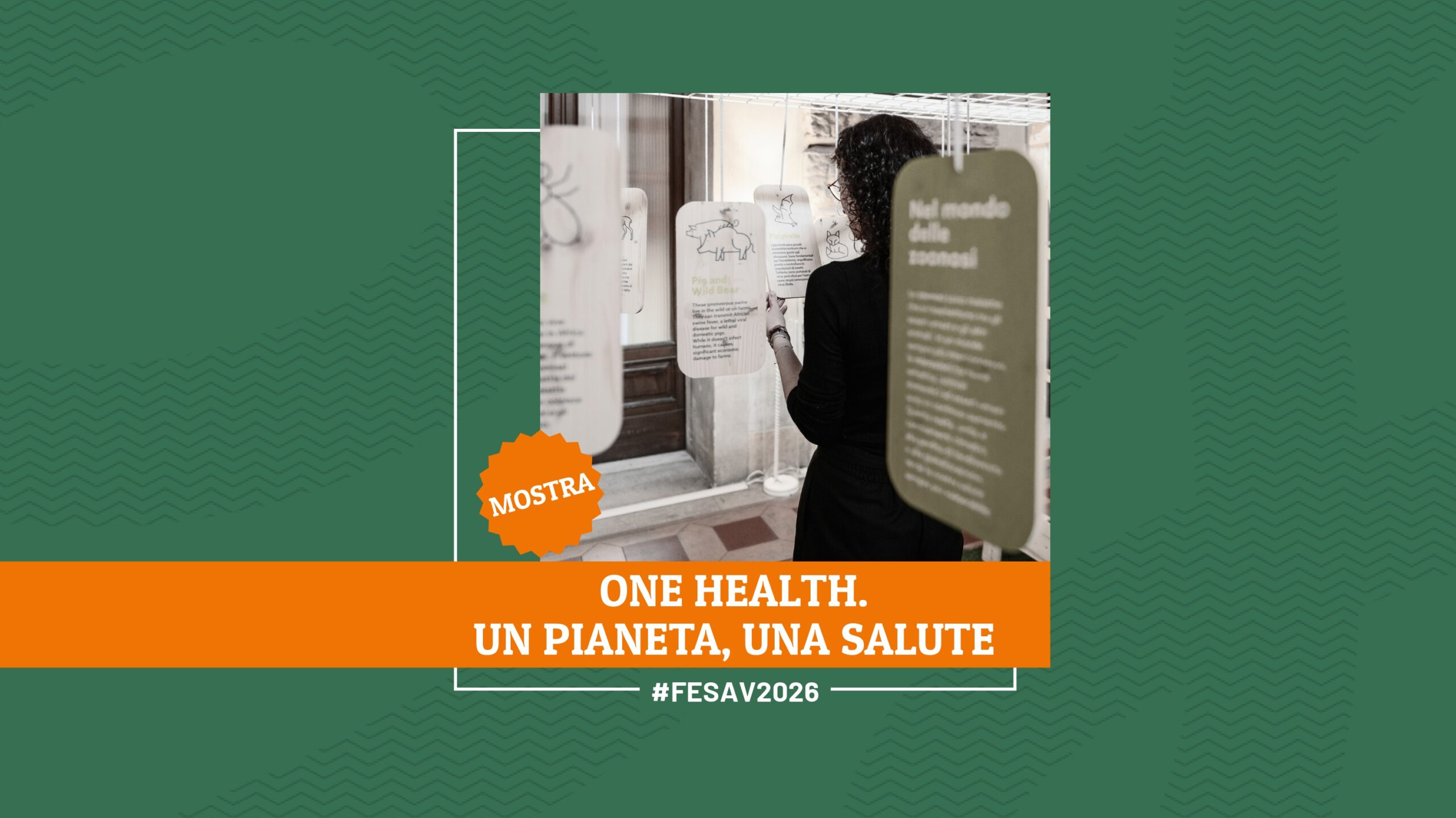 Fondazione Zoé