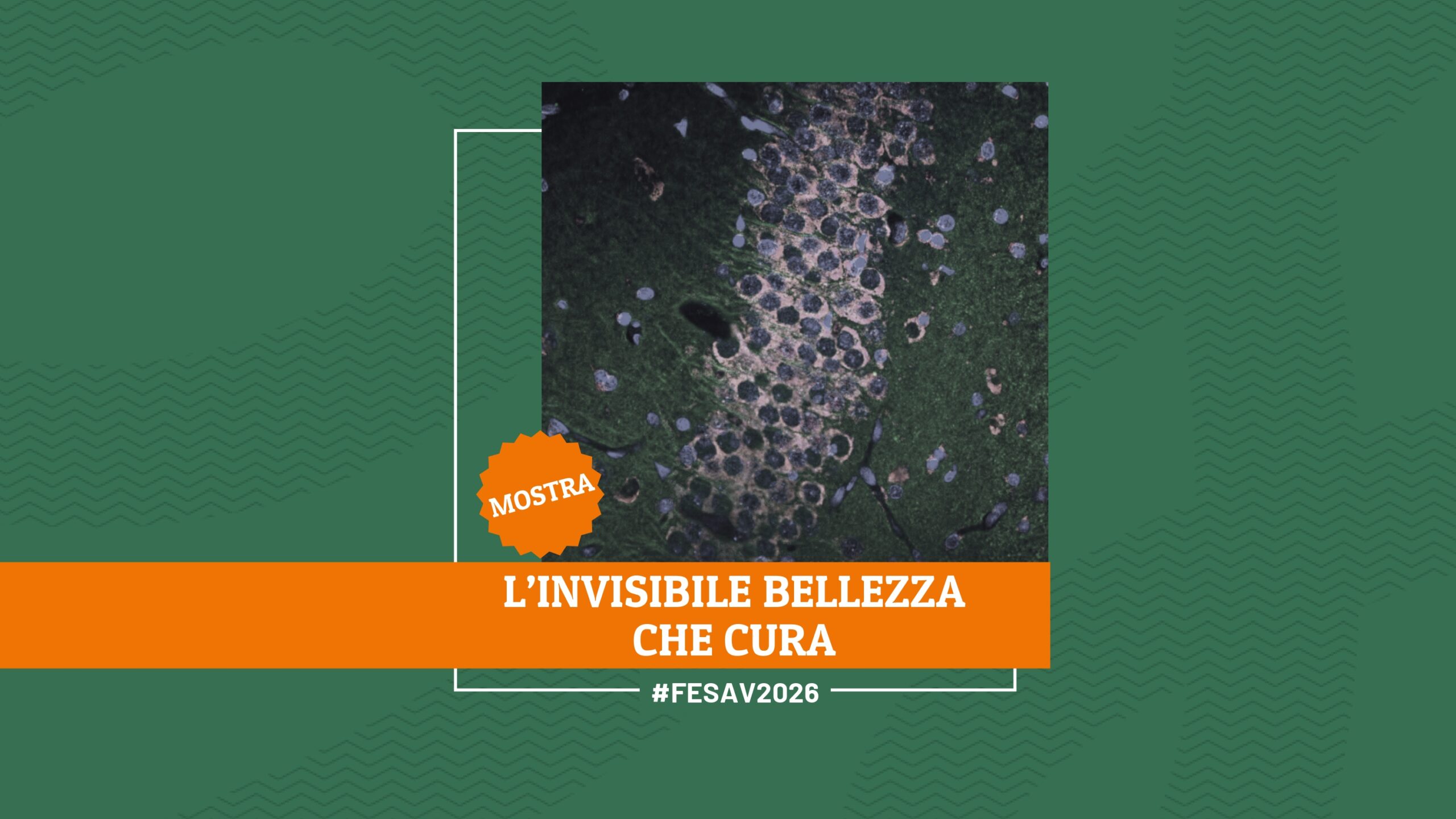 L’invisibile bellezza che cura