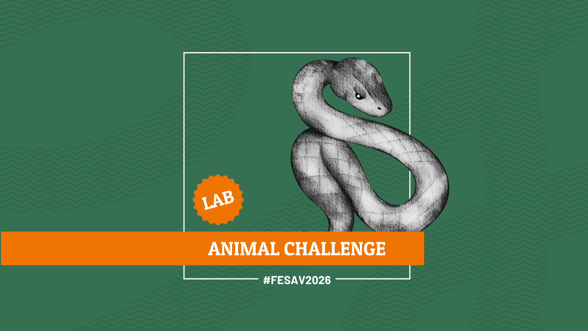Animal challenge: il quiz con gli animali