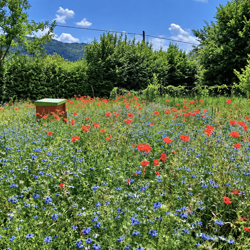Wildlife Gardens Revolution